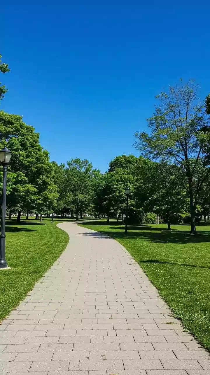 Clean Air and Mental Clarity: A Fresh Perspective