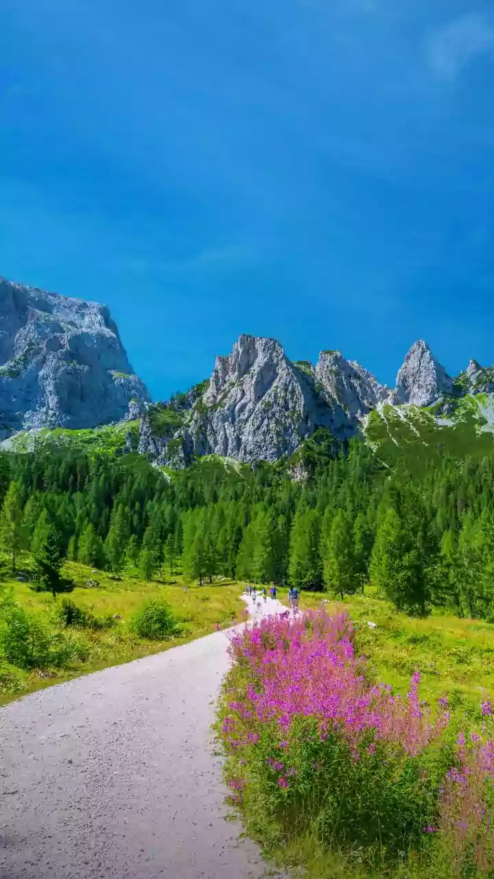 Canadian Rockies Hiking Trails: Scenic Walks Through Canada's Mountain Landscapes