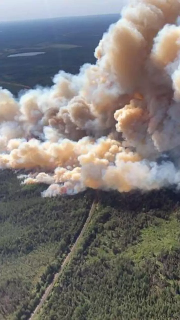 Nagaland: Wildfire rages in famed Dzukou Valley for 3rd day, aerial ops likely to be conducted