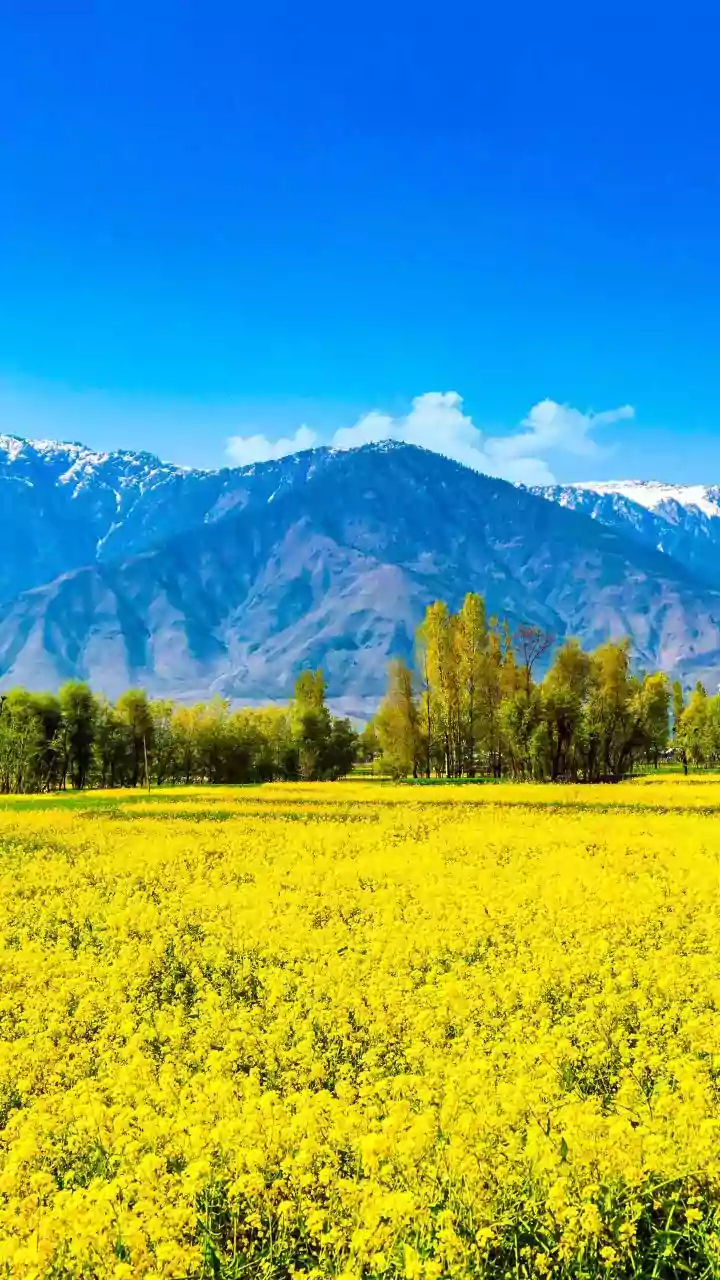 Montana's Secret Seasons: Unveiling Nature's Paradise in Spring & Fall