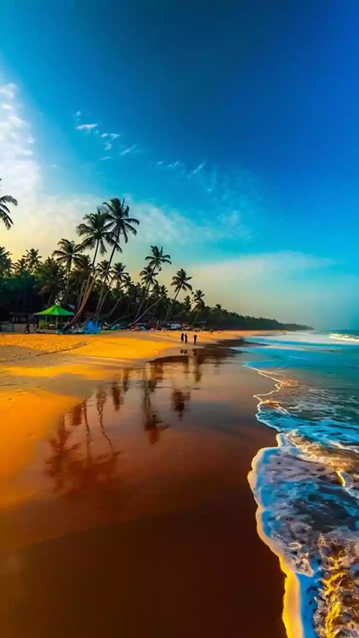 At pre-Budget meet in Delhi, Sawant seeks equitable Centre-state funding for Goa