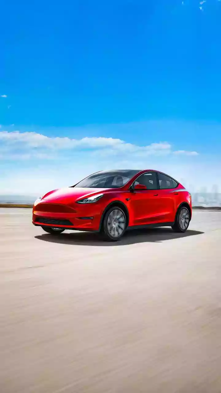 Tesla has sold around 100 cars in India till date