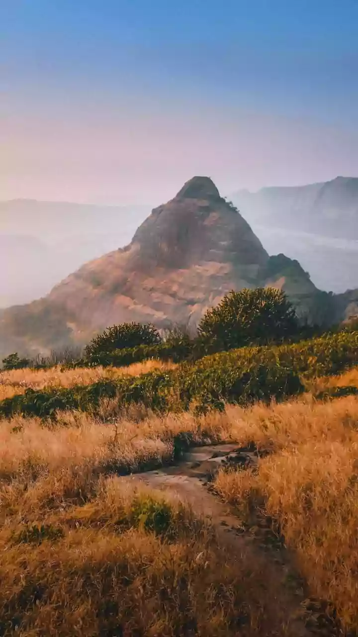 How To Find Offbeat Waterfalls And Misty Plateaus In Bhandardara This Weekend
