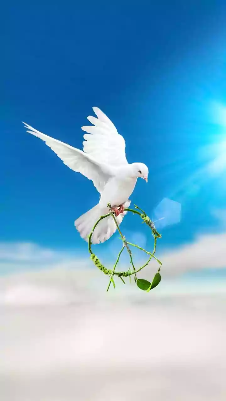 Forgiveness: Unlocking Inner Peace & Strengthening Relationships