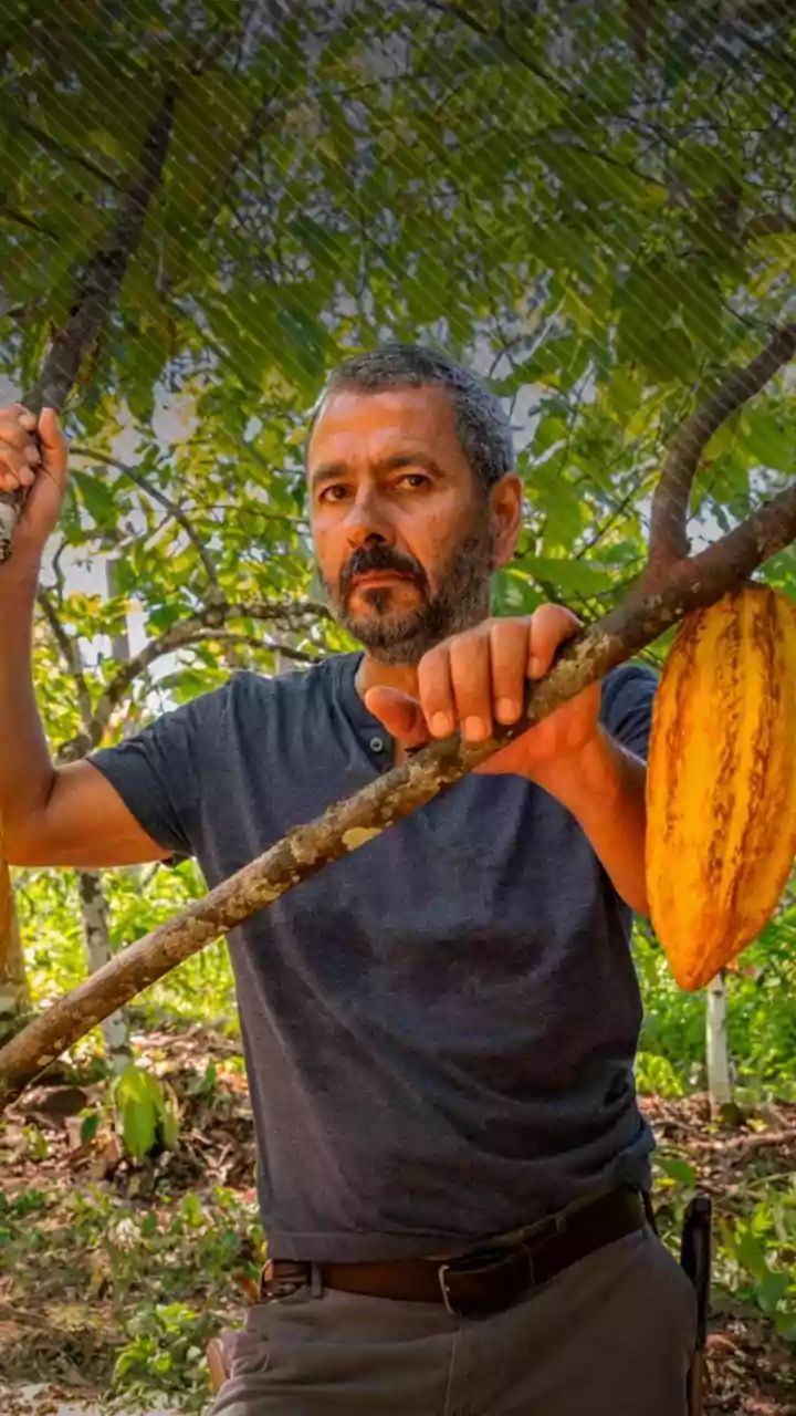 Ator da Globo, Marcos Palmeira também é dono de uma fazenda que produz o próprio queijo e chocolate