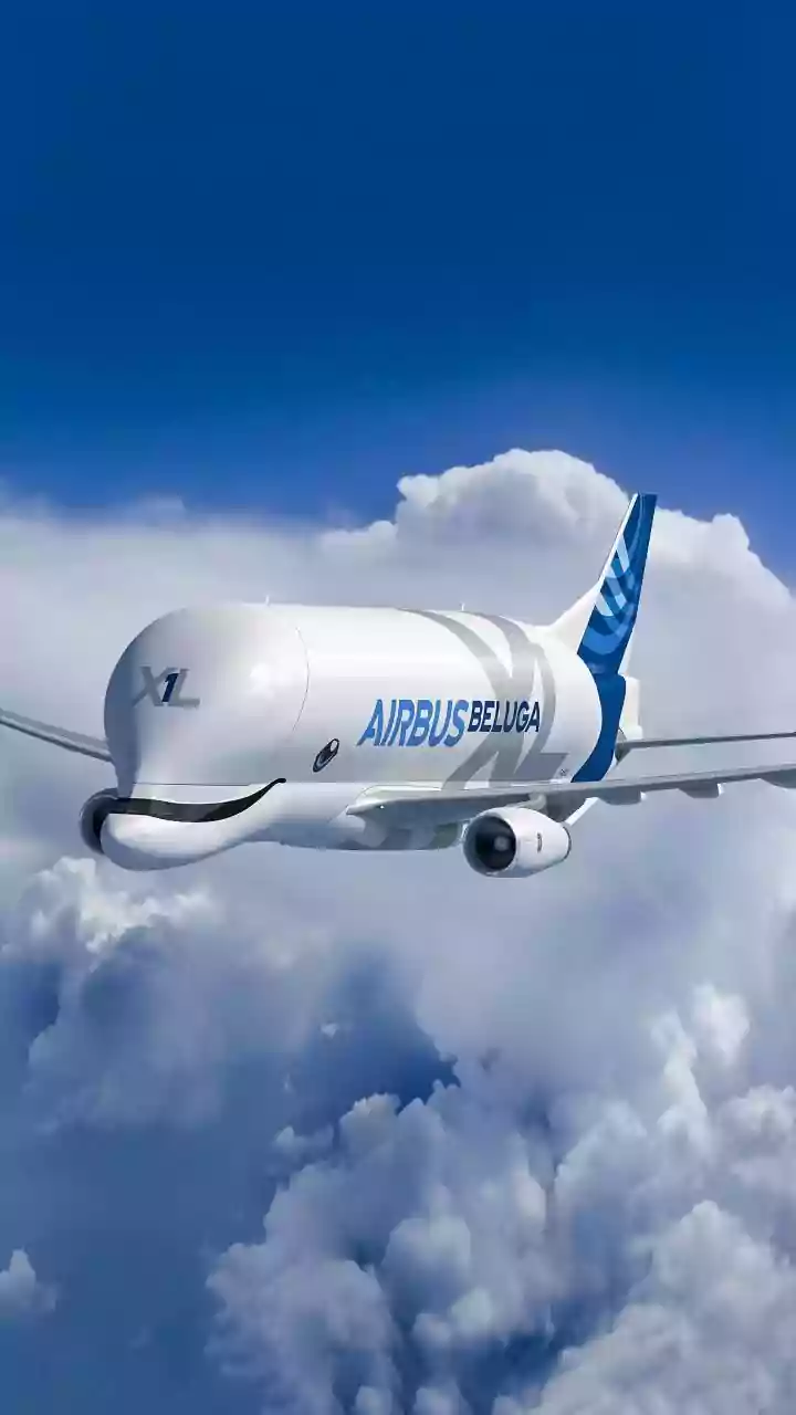How Aircraft Design Helps Keep A Passenger Plane Stable During A Crisis