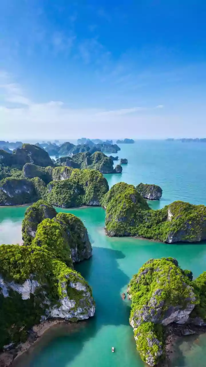 Indian Travellers Are Picking Asian Trips Over Costly Europe Routes