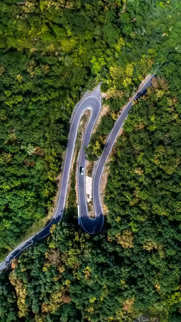 176 people killed in road accidents in Jharkhand's East Singhbhum this year: Official