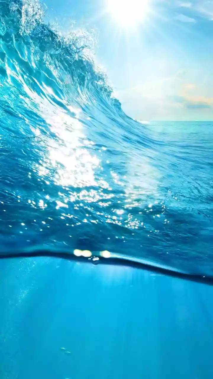 Heat Waves Are Intensifying as Oceans Store Record Amounts of Energy