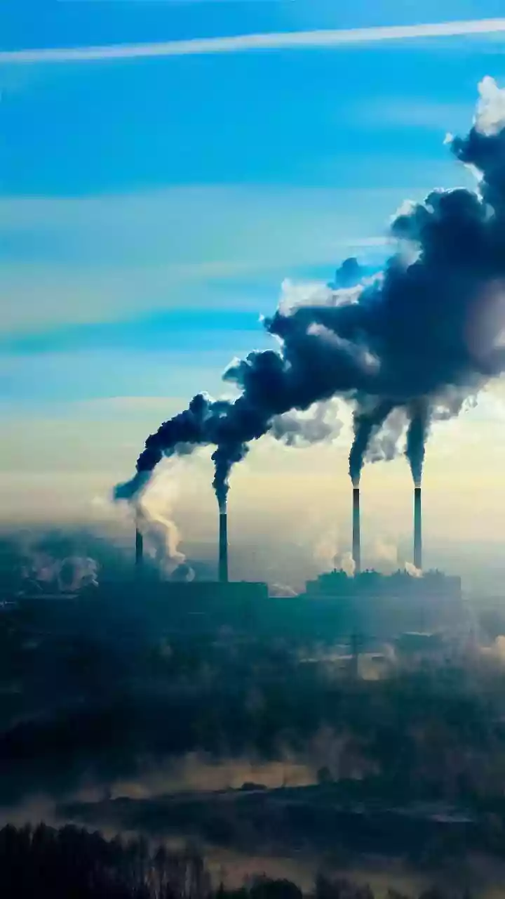 Bharat Coking Coal IPO: Last Chance to Bid?