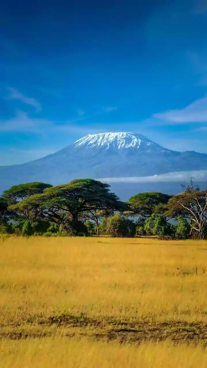 Mountain biking on Kilimanjaro: A guide
