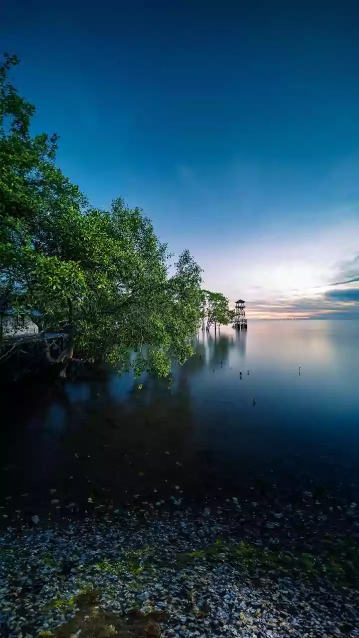 How Advanced Satellite Analytics Quantify Mangrove Coastal Erosion Defense In Sundarbans