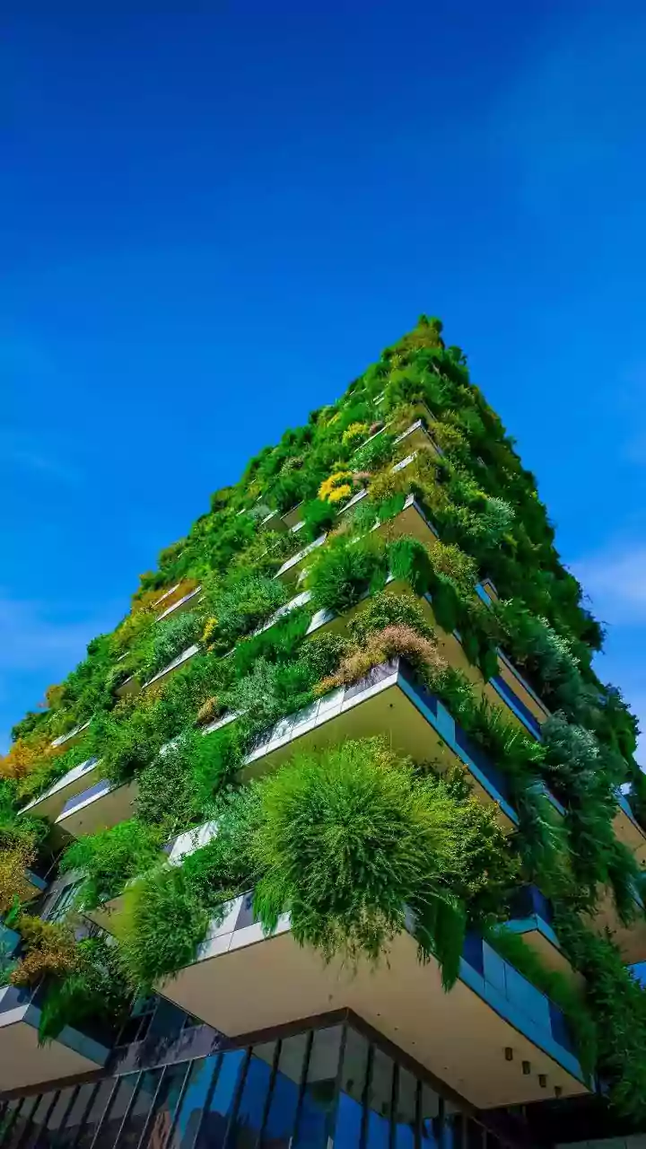 Urban Renters and Home Gardeners Should Compare Benefits, Costs and Limits around Monsoon Balcony Micro-Gardens