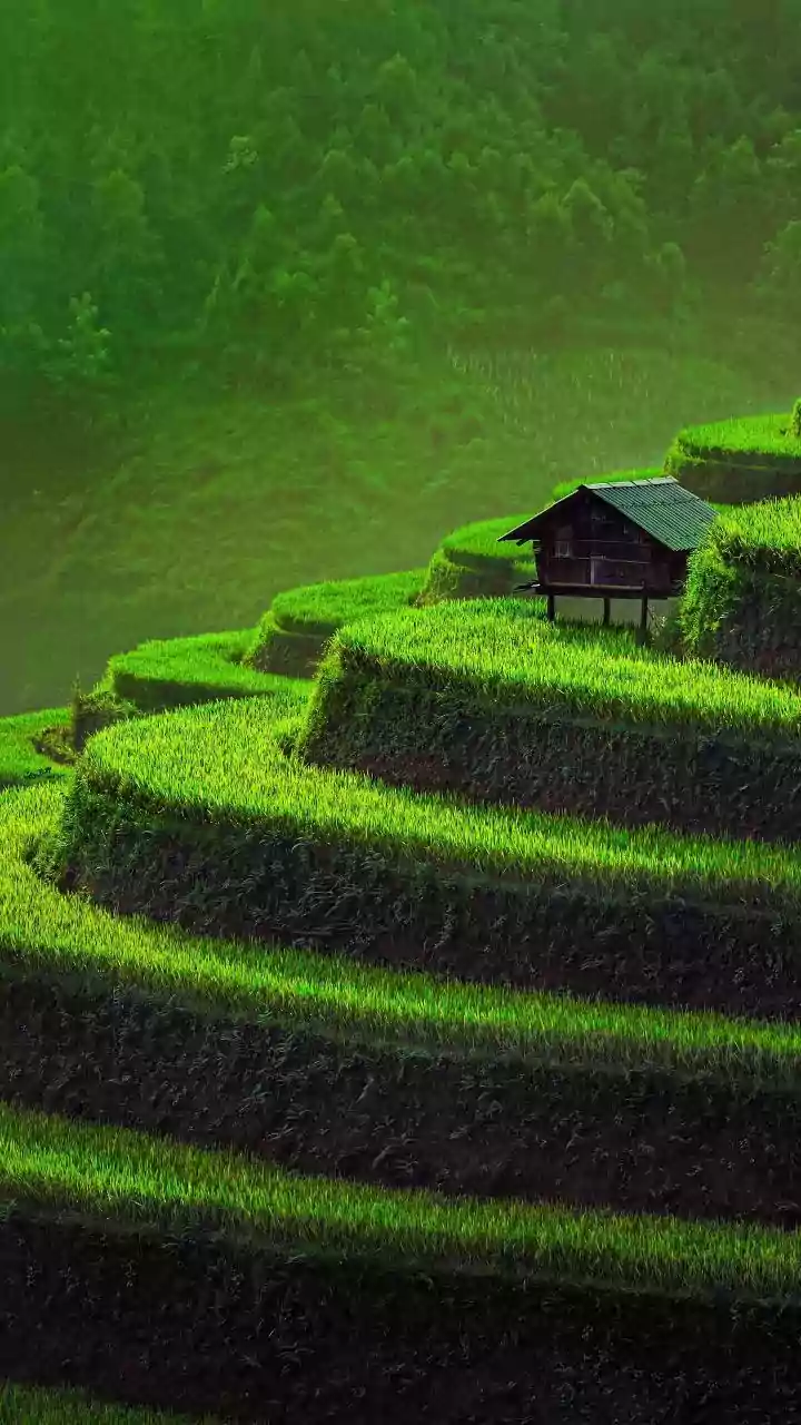 Cropland Degradation Can Shift Risk from Individual Farms to Food Markets