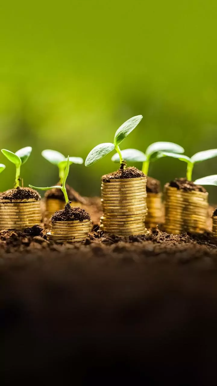 LEAP India, Eldorado Agritech, 3 others get Sebi's nod to float IPOs