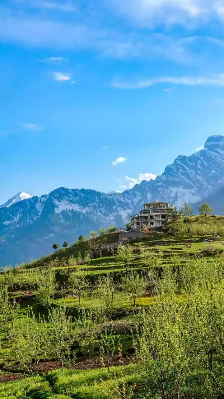 Himalayan Soil to Soul: A Culinary Journey from Garden to Plate