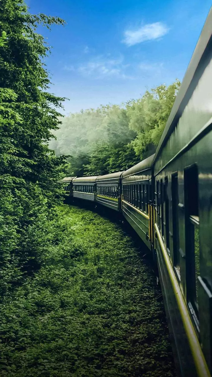 Mexico: At Least 13 Killed, Dozens Injured As Interoceanic Train Derails Near Nizanda; Video Surfaces