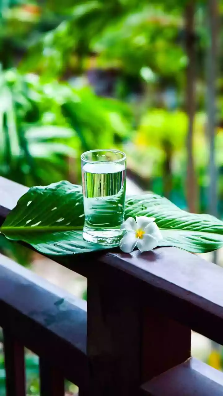 Ayurveda Shares The Correct Way To Drink Water: Know Timings, Methods, And Health Benefits Inside