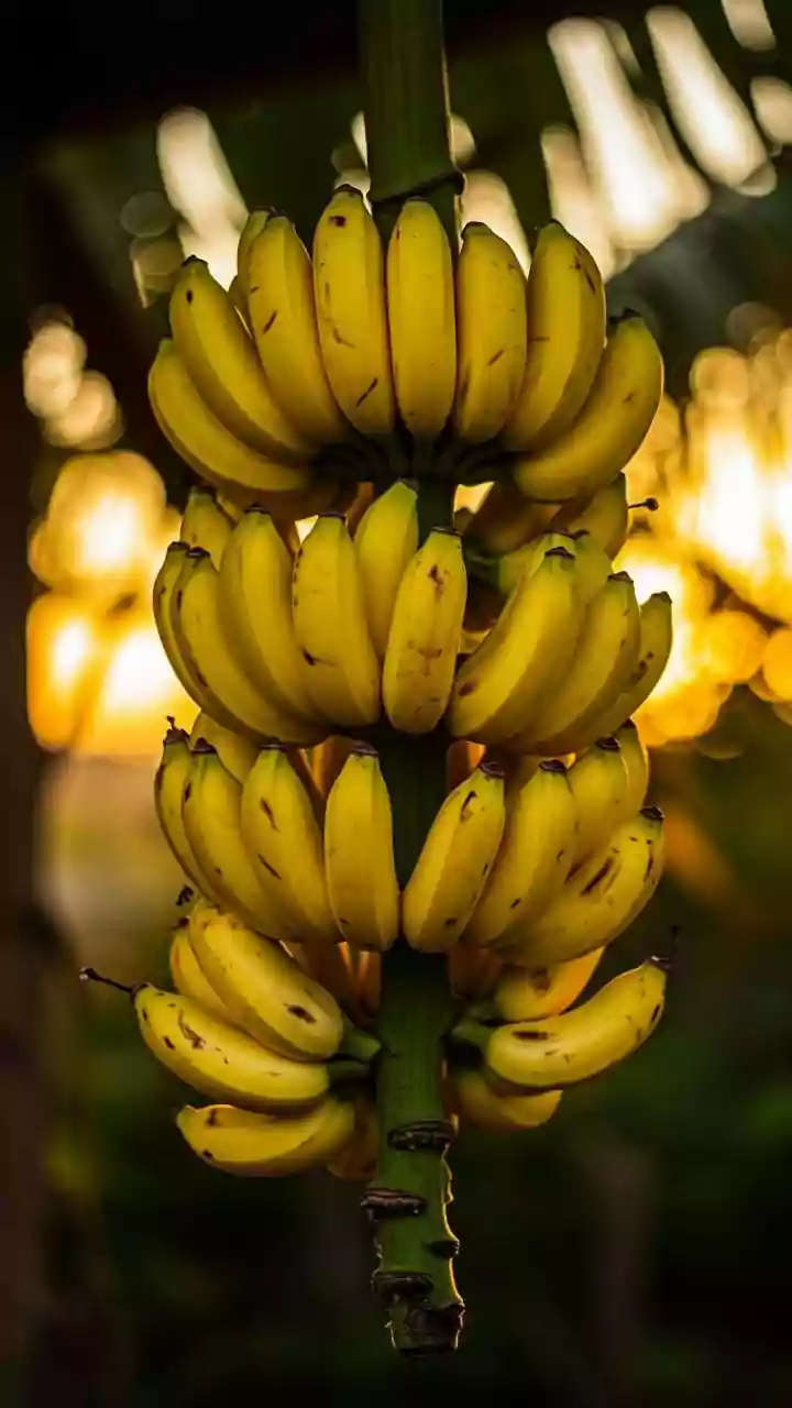 How Ethylene Gas Changes Banana Colour, Texture and Aroma