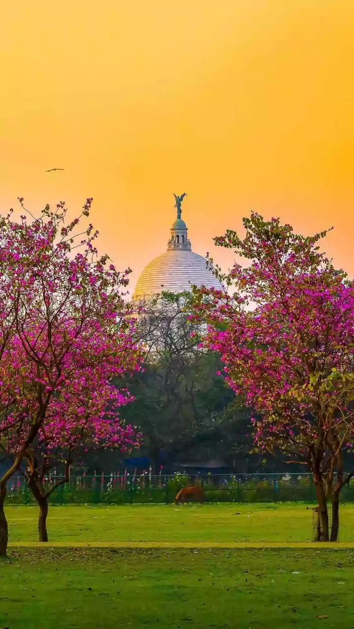 Kolkata Weather Update: Moderate Air Quality and Warm Temperatures