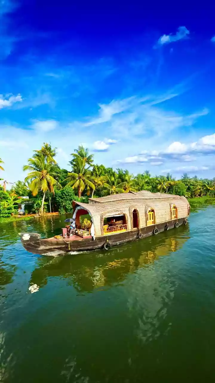 Why Kerala Seasonal Monsoon Ayurvedic Retreats Are Ultimate Wellness Choice For Young Professionals