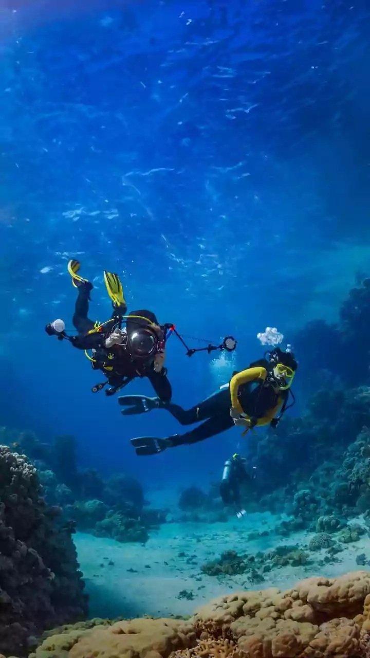 PADI Celebrates 60 Years With 1.28 Lakh Members, 6600 Dive Centres & 30 Million Diver Certifications