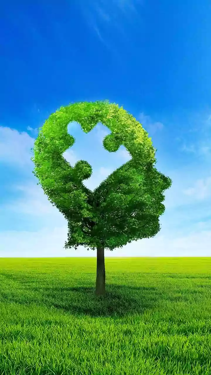 7 Habits for a Youthful Brain: The Science-Backed Guide