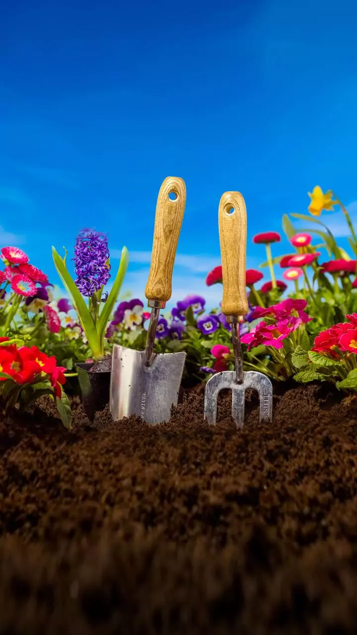 6 tarefas de jardim que valem no outono