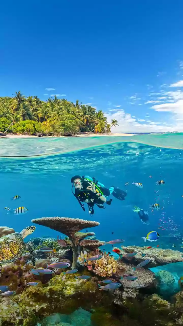 Andaman's Daring Dive: World Records for Flag & Human Stack to Boost Tourism