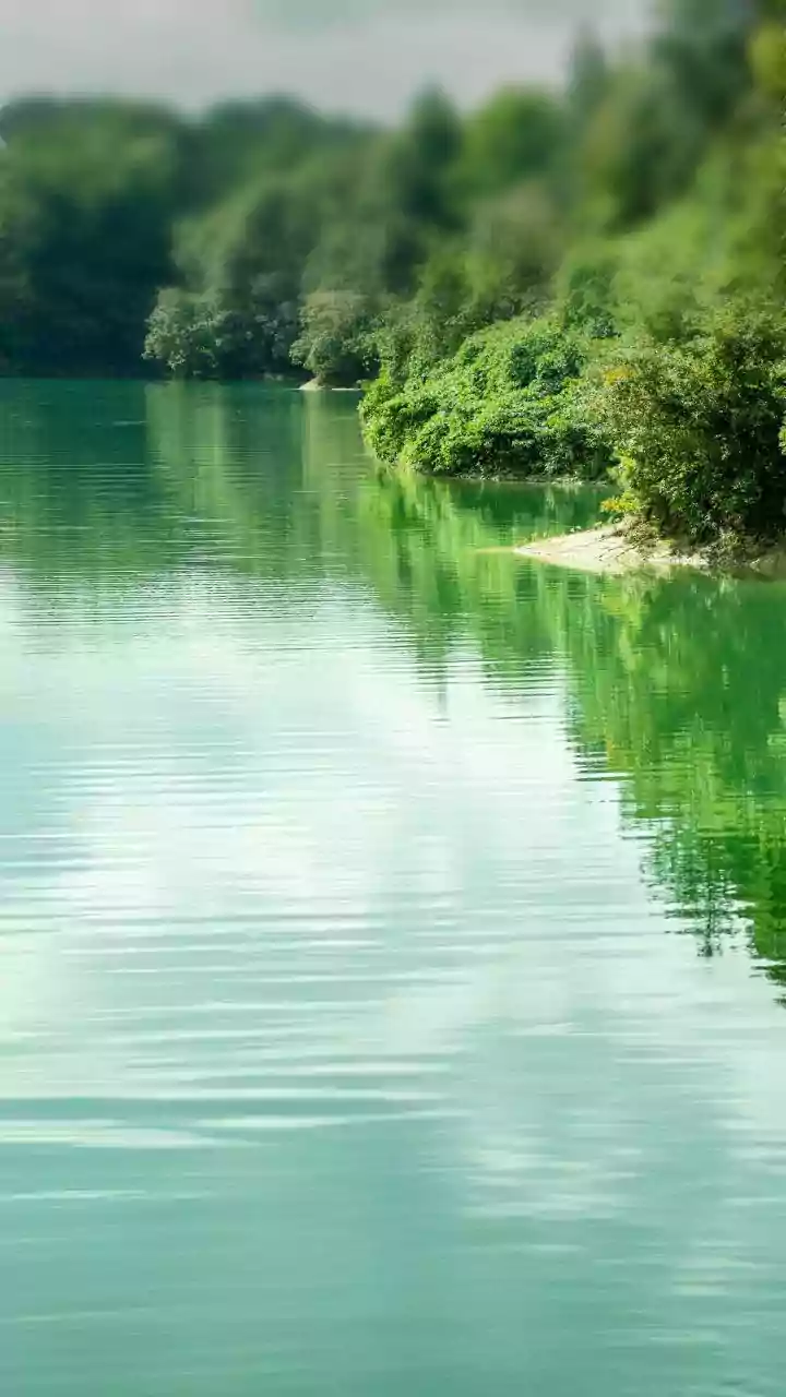 Unveiling the Water Signs: Why Cancer, Scorpio, and Pisces Moons Lead with Emotion