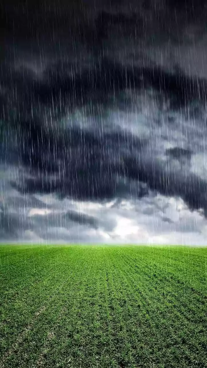 Orange Alert: Heavy Rain and Thunderstorm Cause Waterlogging in Chandigarh Tricity