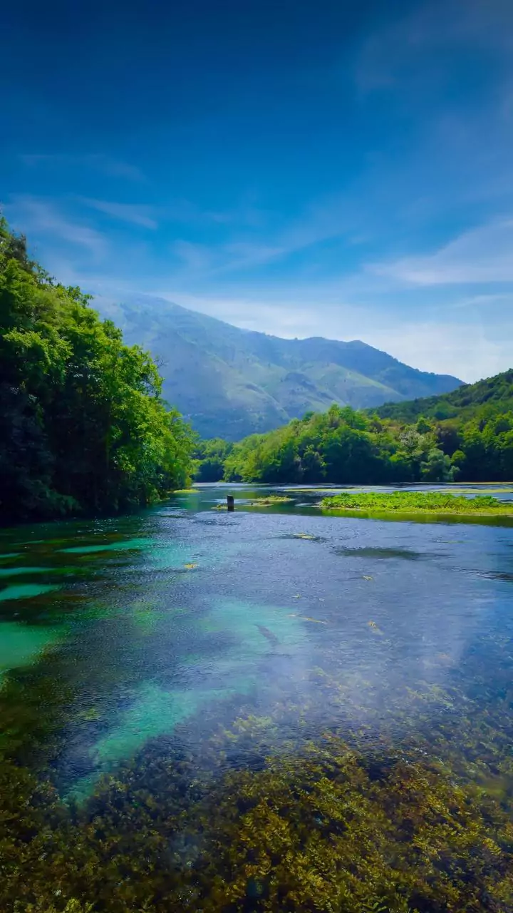 Bonito em maio: pico das águas, preço mínimo