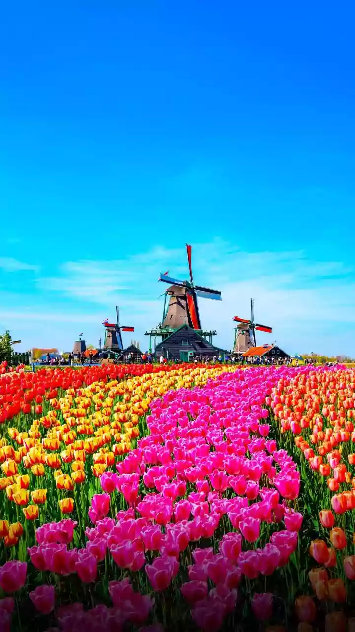 These AI apps can help you plan spontaneous day trips