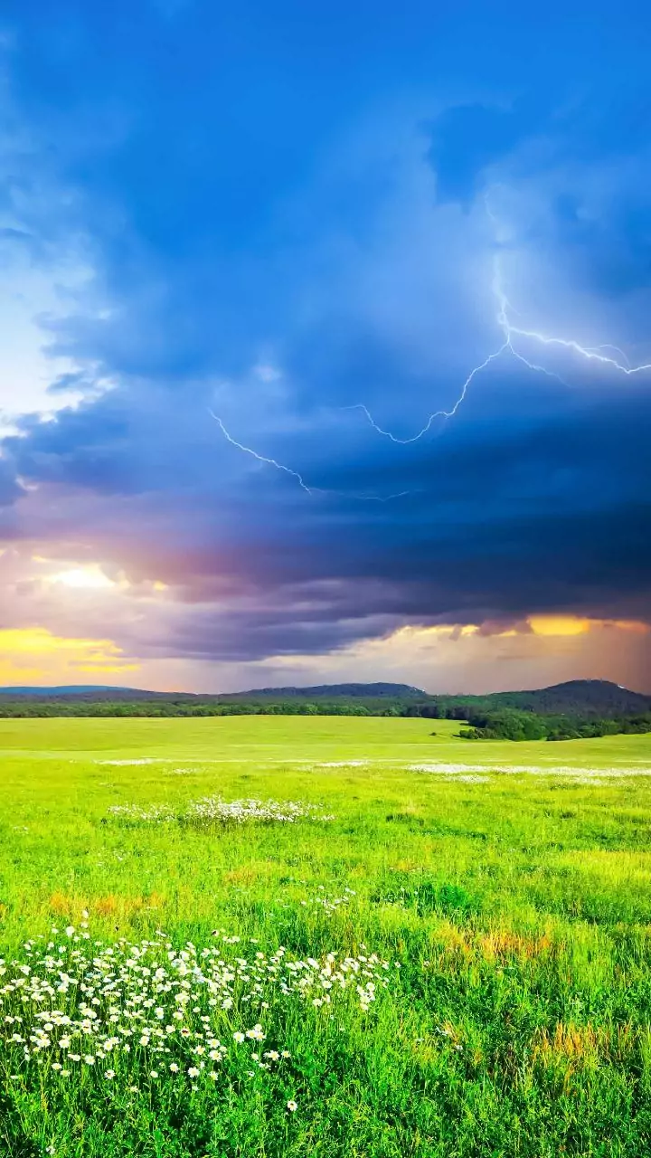 Rainfall, thunderstorms recorded across Rajasthan due to western disturbance