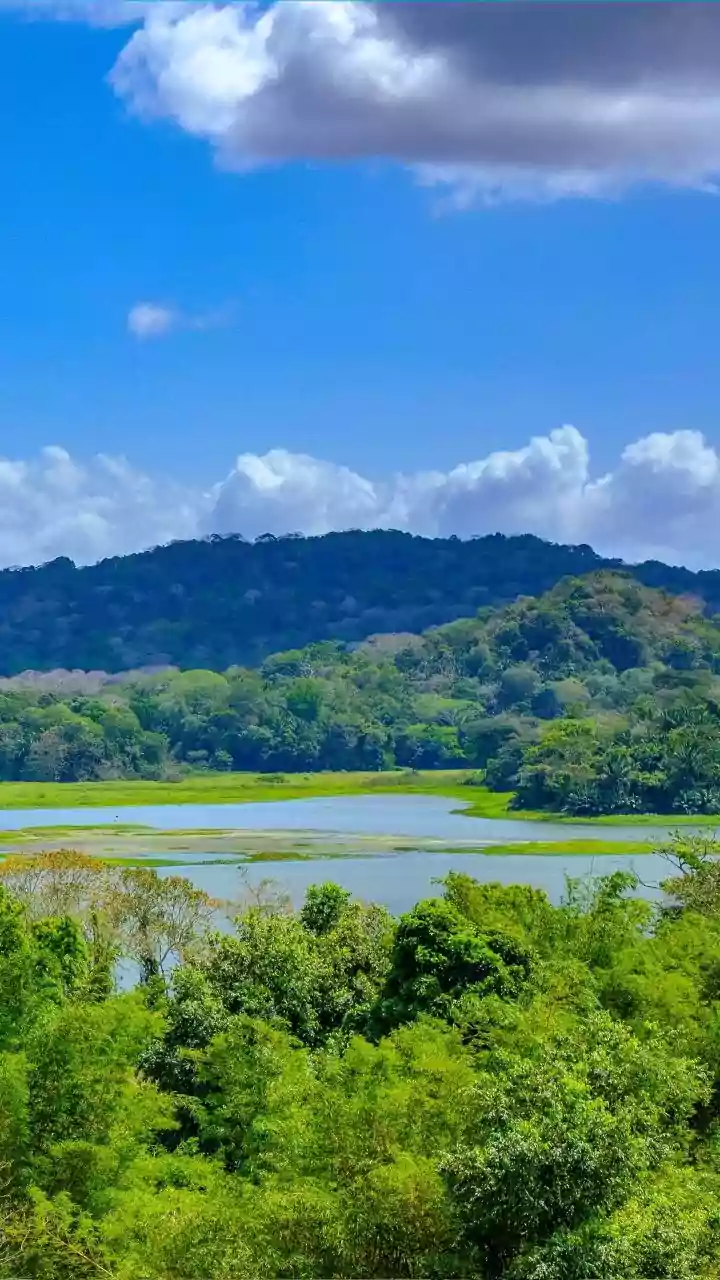 How To Enjoy Scenic Road Trips From Bangalore To Agumbe Rainforests Safely