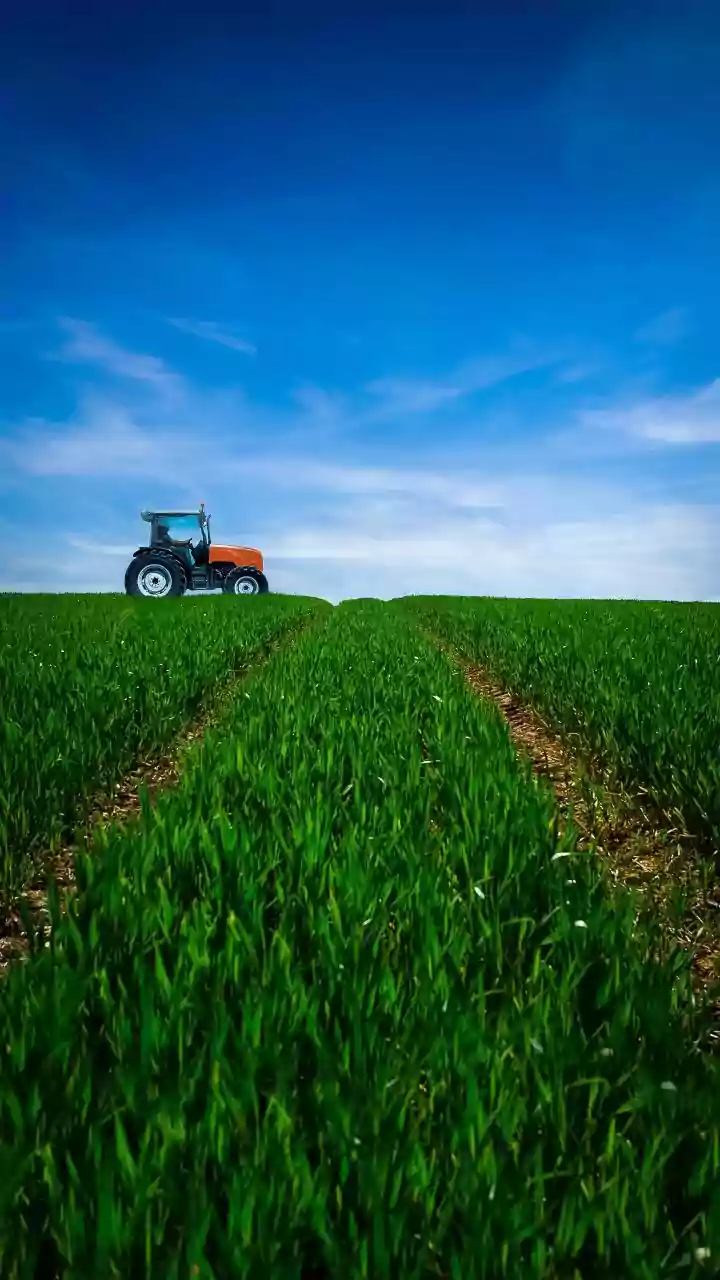 Storage, warehousing of seeds might soon be exempt from GST