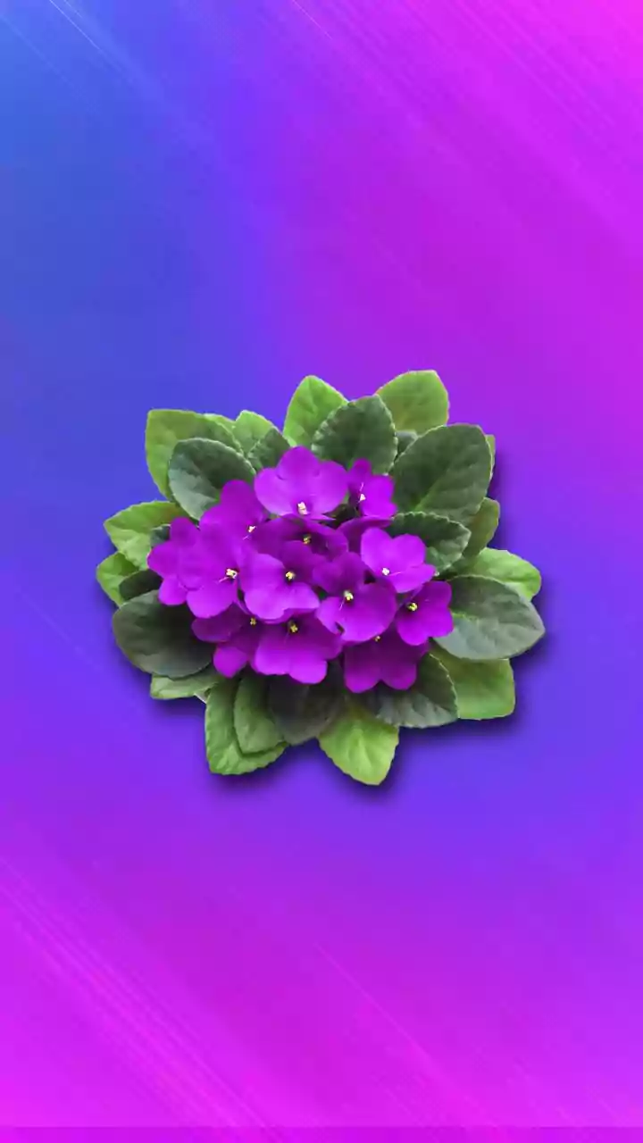 Cultivate Abundance: 5 Vastu-Approved Blooms to Invite Luck and Prosperity