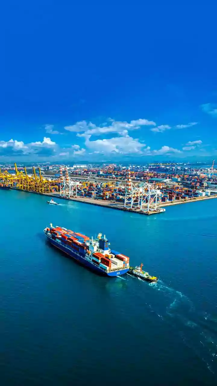 India is a rapidly growing services export hub
