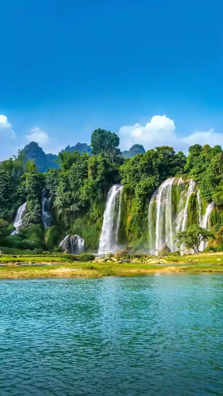 Explore Living Root Bridges And Sohra Waterfalls In Meghalaya Before Winter