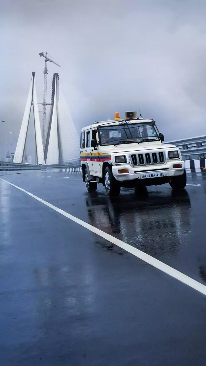 Maha govt orders strict security, infra for Ambedkar Jayanti celebrations