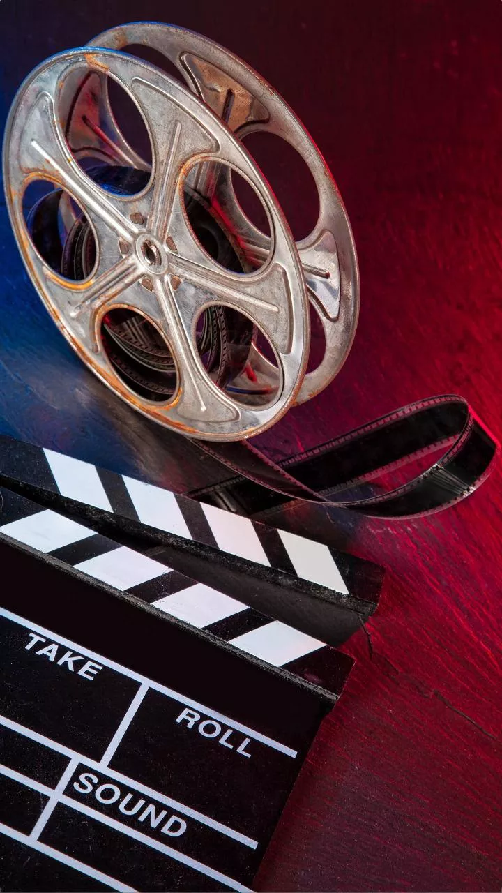 'The India Story' earns ₹82L in India, far below ₹20-30cr