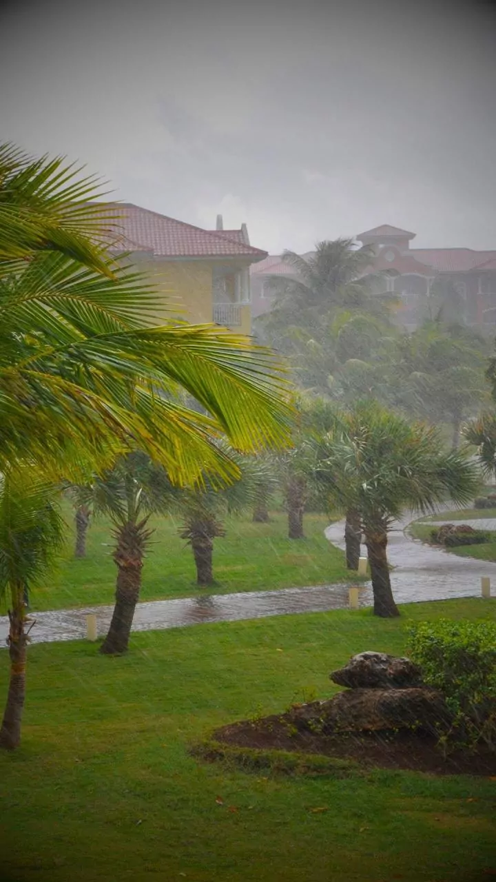 Don't Let Monsoon Catch You Unprepared This Year