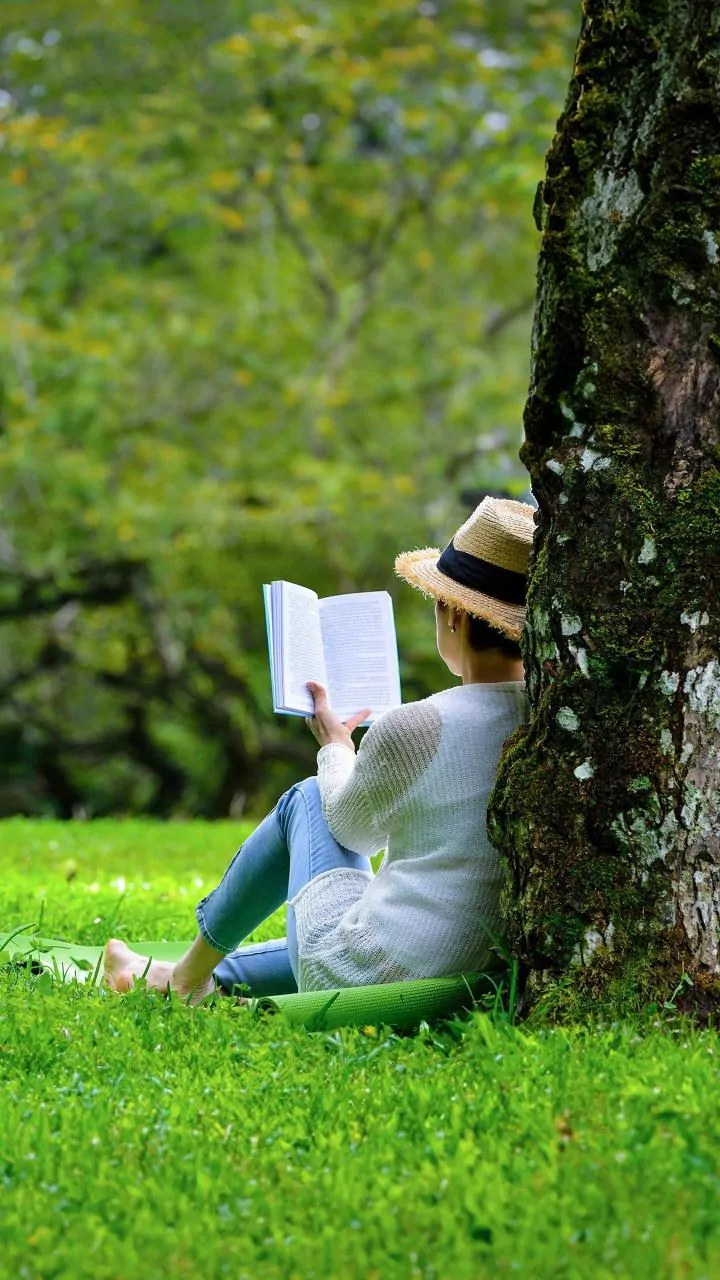 Outdoor Reading Works Best When Noise and Traffic Stay Manageable