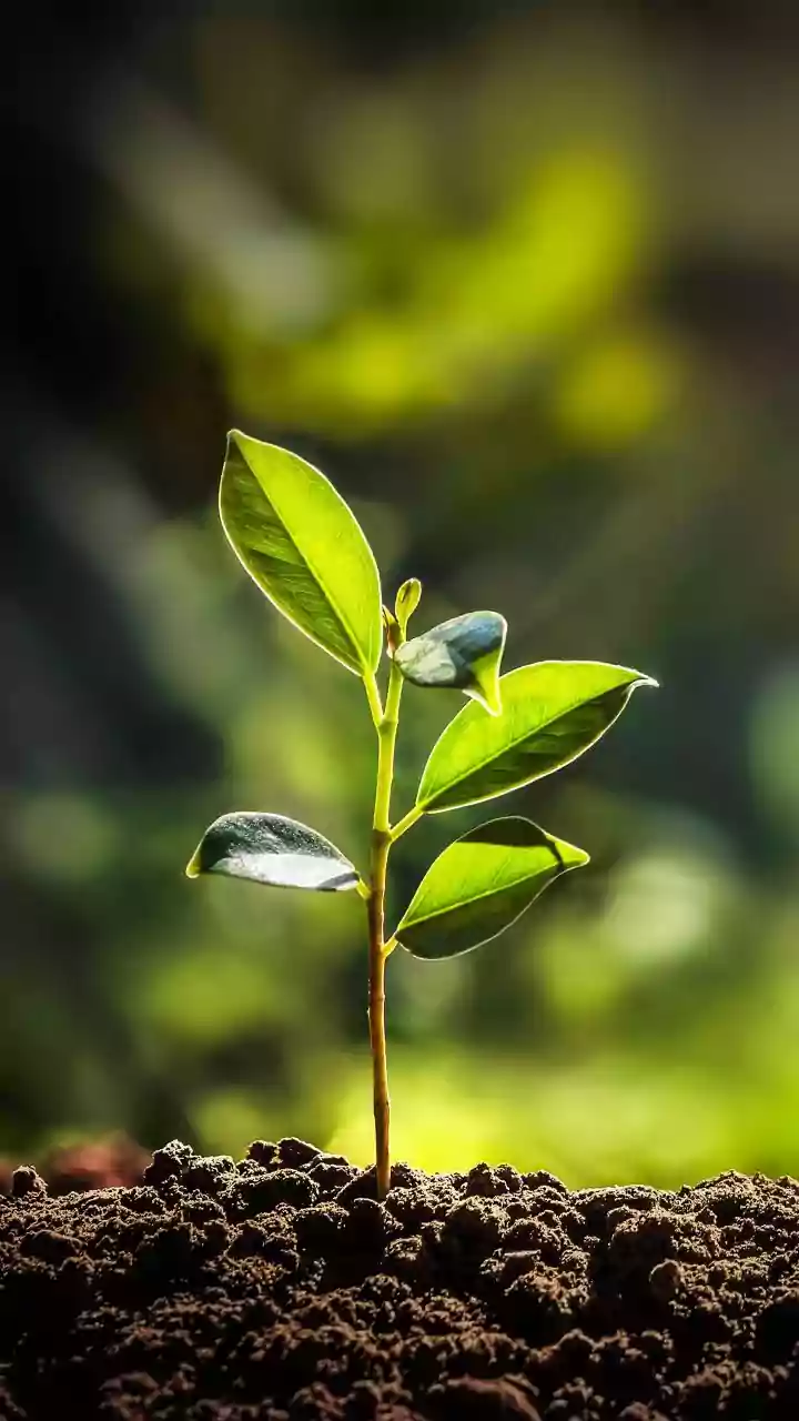 Unlock Your Potential: 7 Essential Steps for Personal Growth and Self-Discovery