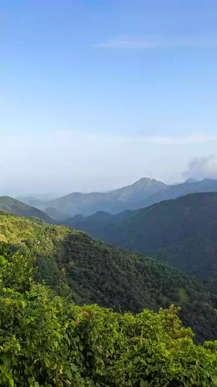 Western Ghats marked as 'site of significant concern': Here's why