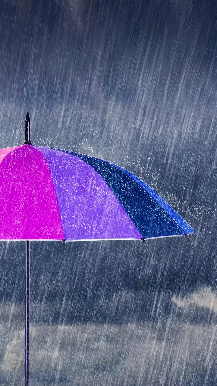 Chennai gets a rainy break after Cyclone Ditwah