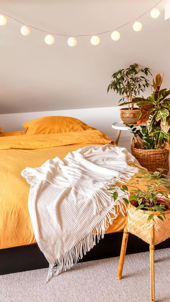 5 Guest Room Design Ideas: Stylish & Comfortable Spaces