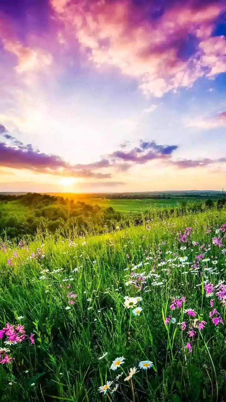 Taurus Sun Transit: Embrace Stability and Sensual Joys