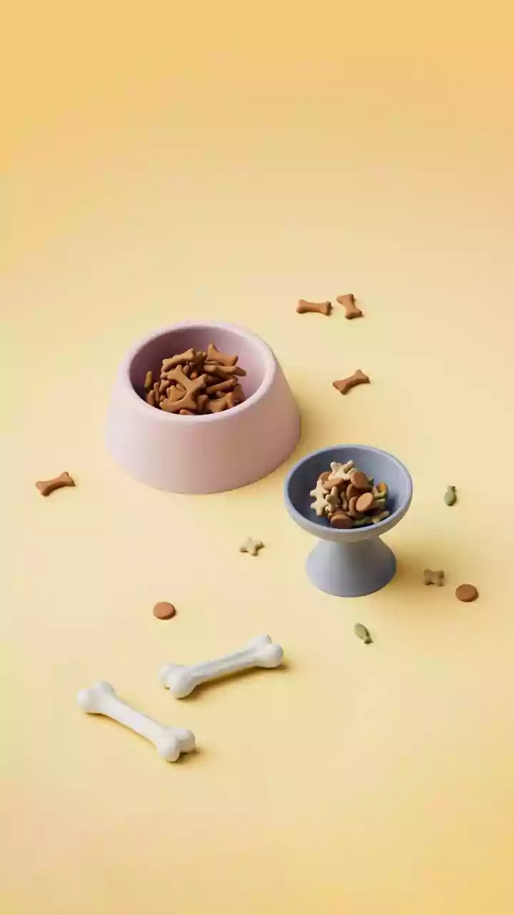 Pet Nutrition Is Becoming A Lifestyle Flex