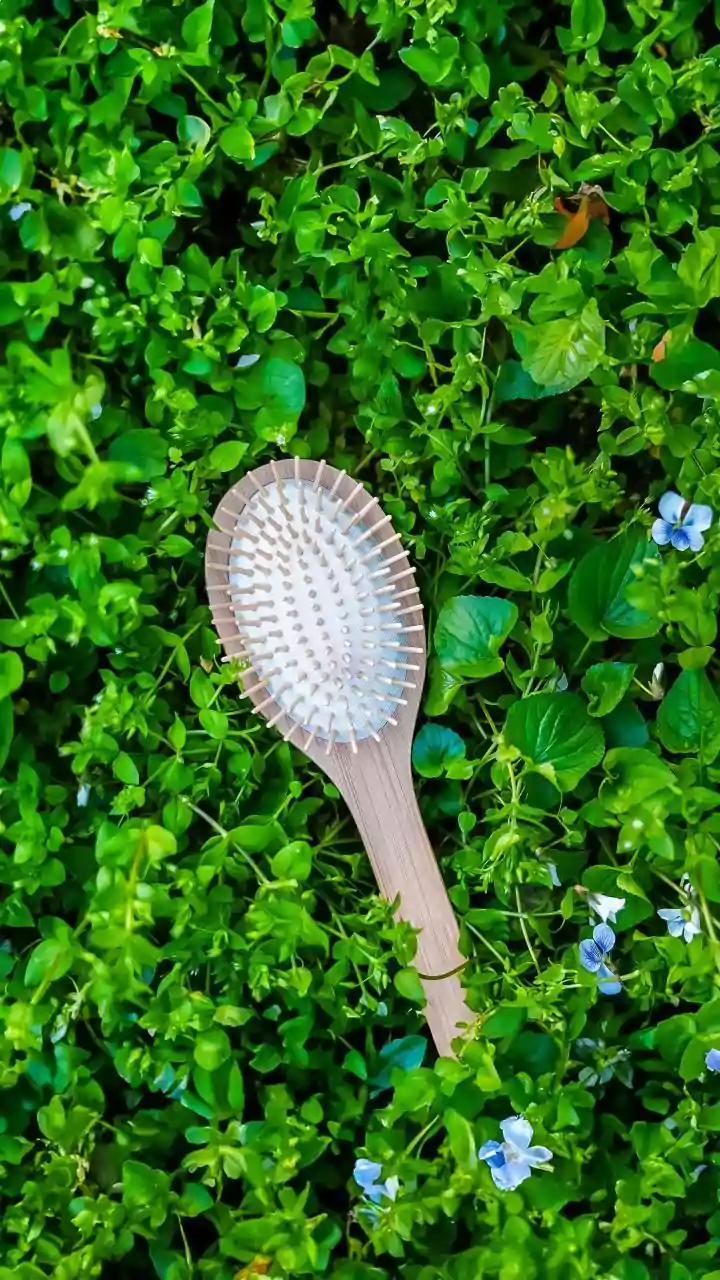 Rainy-Season Hair Care Starts With Scalp Hygiene